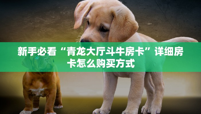 新手必看“微信炸金花房卡链接多少钱一张”详细房卡怎么购买方式