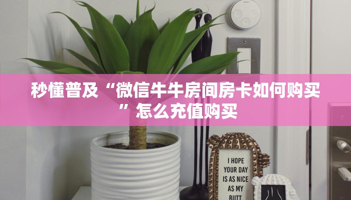 秒懂普及“微信牛牛房间房卡如何购买 ”怎么充值购买