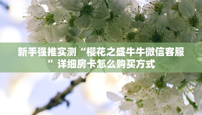 科普新手必备指南“宝马互娱牛牛房卡”实测介绍房卡使用方式