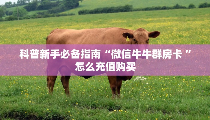 秒科普“黑鹰众玩房拼三张卡在哪购买“获取开挂方式