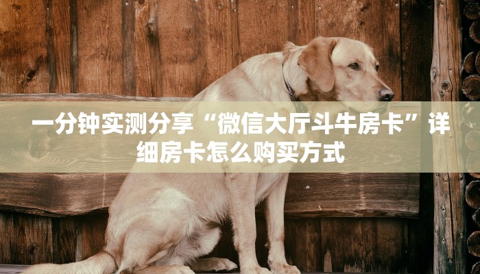 一分钟实测分享“微信大厅斗牛房卡”详细房卡怎么购买方式