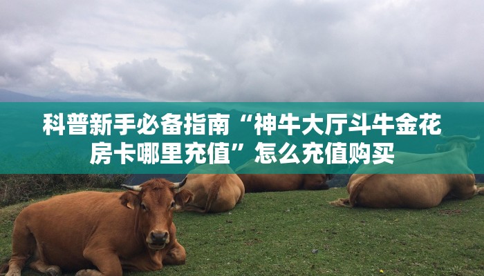 科普新手必备指南“神牛大厅斗牛金花房卡哪里充值”怎么充值购买
